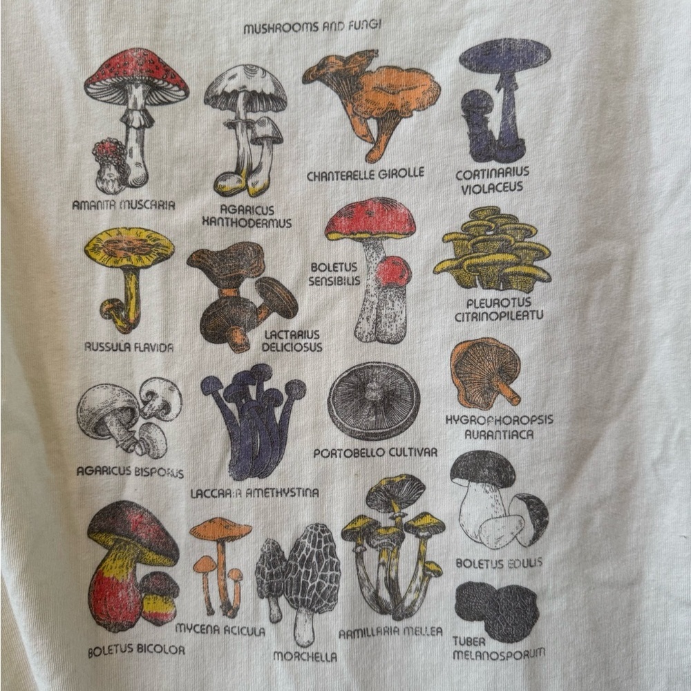 Urban outfitters future state vintage mushroom print graphic t shirt cotton - Picture 3 of 5